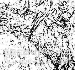 6級(jí)淬火.jpg