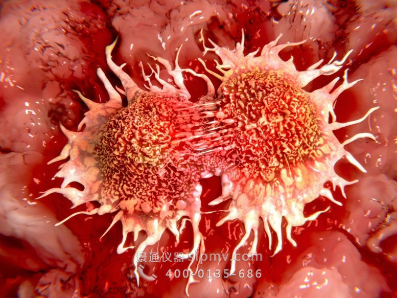 與嗅覺有關(guān)的基因可能在乳腺癌向大腦的傳播中發(fā)揮作用