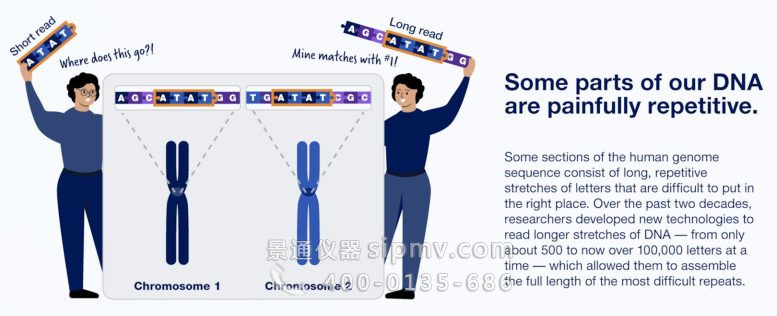 我們 DNA 的某些部分令人痛苦地重復(fù)信息圖